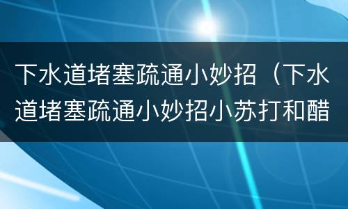下水道堵塞疏通小妙招（下水道堵塞疏通小妙招小苏打和醋）