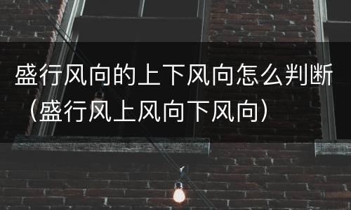 盛行风向的上下风向怎么判断（盛行风上风向下风向）