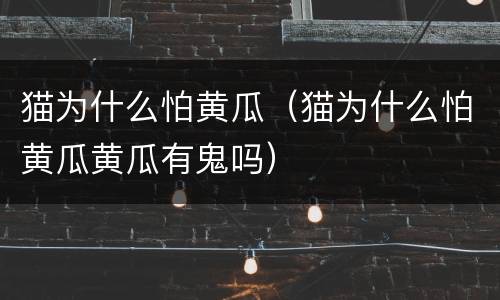 猫为什么怕黄瓜（猫为什么怕黄瓜黄瓜有鬼吗）