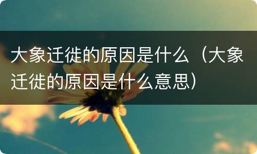大象迁徙的原因是什么（大象迁徙的原因是什么意思）