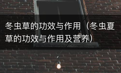 冬虫草的功效与作用（冬虫夏草的功效与作用及营养）