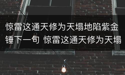 惊雷这通天修为天塌地陷紫金锤下一句 惊雷这通天修为天塌地陷紫金锤下一句是什么