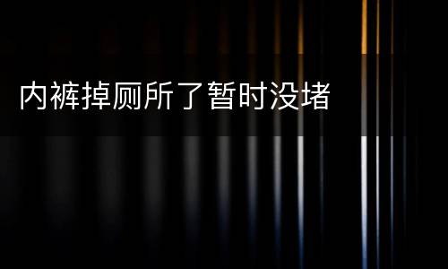 内裤掉厕所了暂时没堵