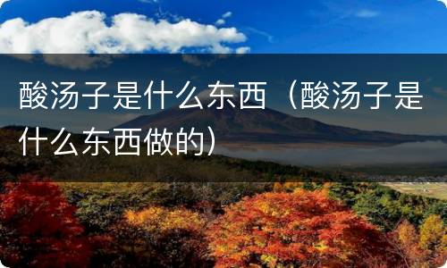 酸汤子是什么东西（酸汤子是什么东西做的）