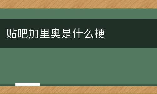 贴吧加里奥是什么梗