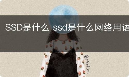 SSD是什么 ssd是什么网络用语