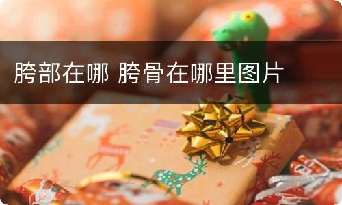 胯部在哪 胯骨在哪里图片