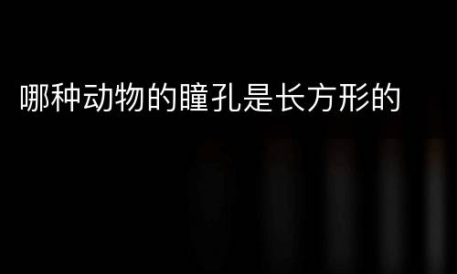 哪种动物的瞳孔是长方形的