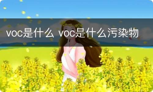 voc是什么 voc是什么污染物