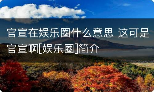 官宣在娱乐圈什么意思 这可是官宣啊[娱乐圈]简介