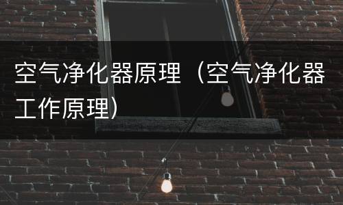 空气净化器原理（空气净化器工作原理）