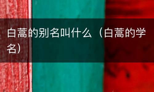 白蒿的别名叫什么（白蒿的学名）