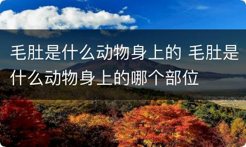 毛肚是什么动物身上的 毛肚是什么动物身上的哪个部位