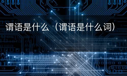 谓语是什么（谓语是什么词）