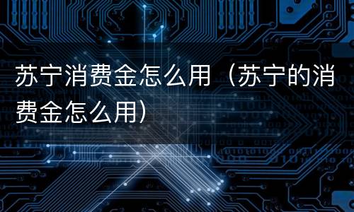 苏宁消费金怎么用（苏宁的消费金怎么用）