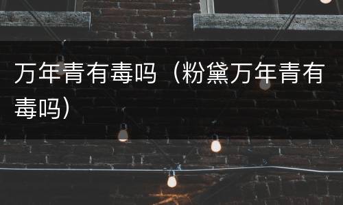 万年青有毒吗（粉黛万年青有毒吗）