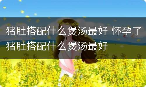 猪肚搭配什么煲汤最好 怀孕了猪肚搭配什么煲汤最好