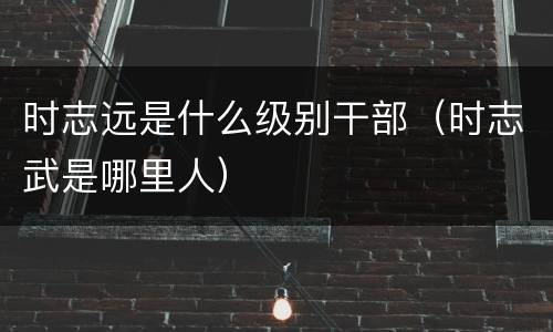 时志远是什么级别干部（时志武是哪里人）
