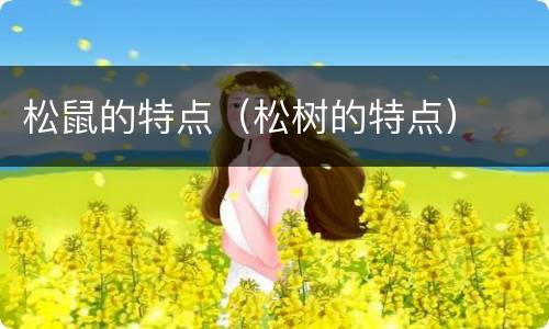松鼠的特点（松树的特点）