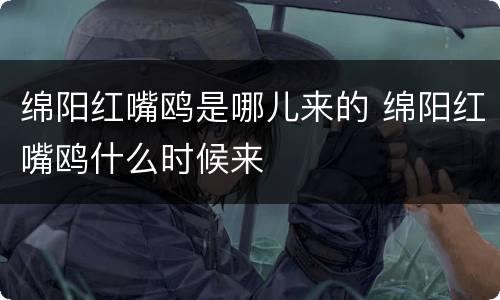 绵阳红嘴鸥是哪儿来的 绵阳红嘴鸥什么时候来