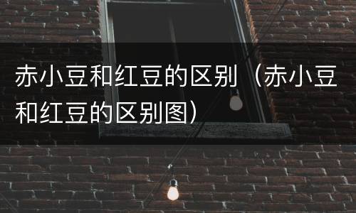 赤小豆和红豆的区别（赤小豆和红豆的区别图）