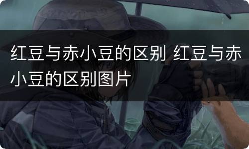 红豆与赤小豆的区别 红豆与赤小豆的区别图片