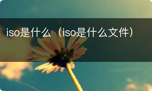 iso是什么（iso是什么文件）