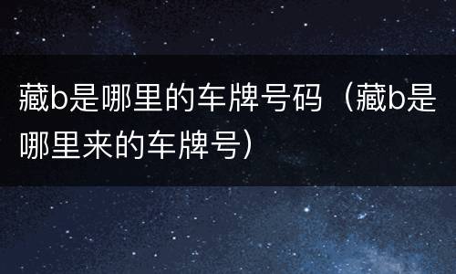 藏b是哪里的车牌号码（藏b是哪里来的车牌号）