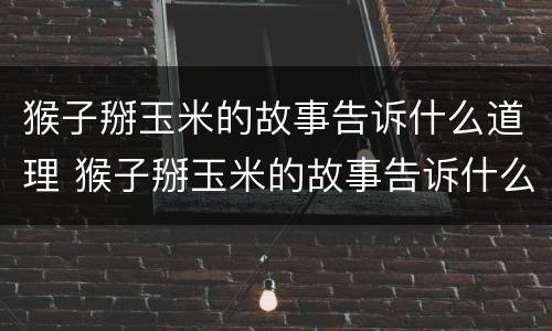 猴子掰玉米的故事告诉什么道理 猴子掰玉米的故事告诉什么道理高中作文