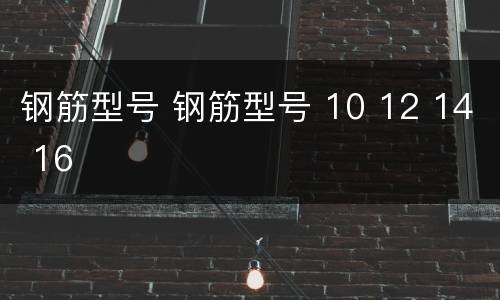 钢筋型号 钢筋型号 10 12 14 16