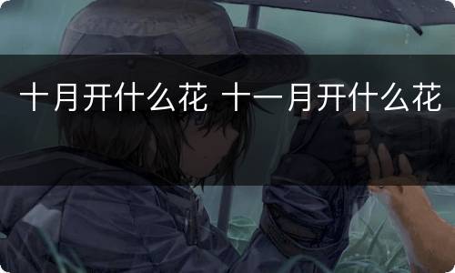 十月开什么花 十一月开什么花