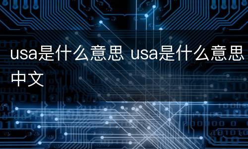 usa是什么意思 usa是什么意思中文