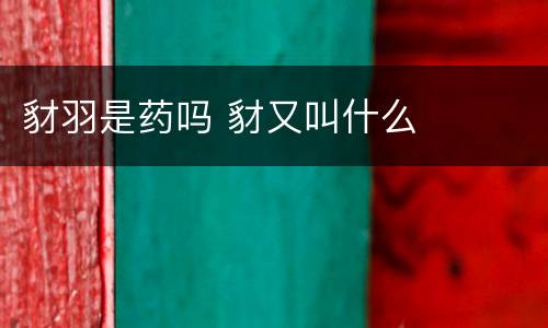 豺羽是药吗 豺又叫什么