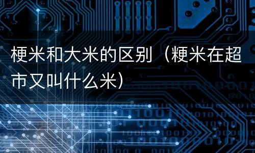 梗米和大米的区别（粳米在超市又叫什么米）