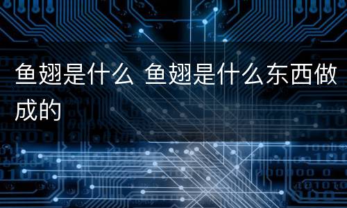 鱼翅是什么 鱼翅是什么东西做成的