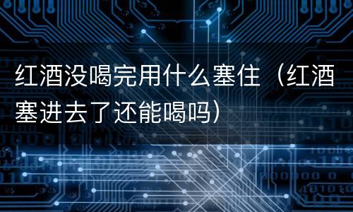 红酒没喝完用什么塞住（红酒塞进去了还能喝吗）