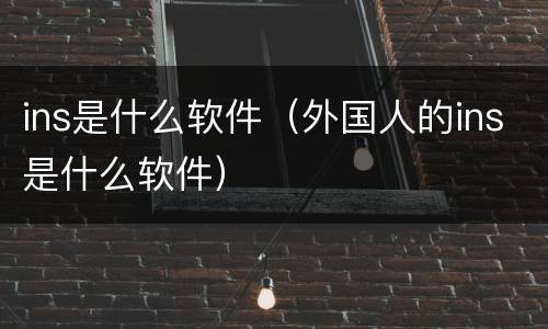 ins是什么软件（外国人的ins是什么软件）