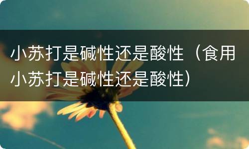 小苏打是碱性还是酸性（食用小苏打是碱性还是酸性）