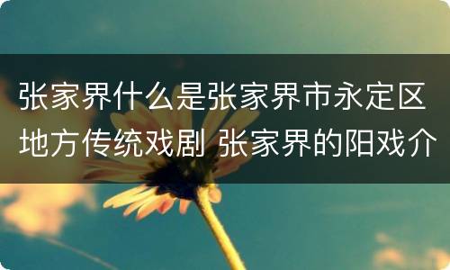 张家界什么是张家界市永定区地方传统戏剧 张家界的阳戏介绍