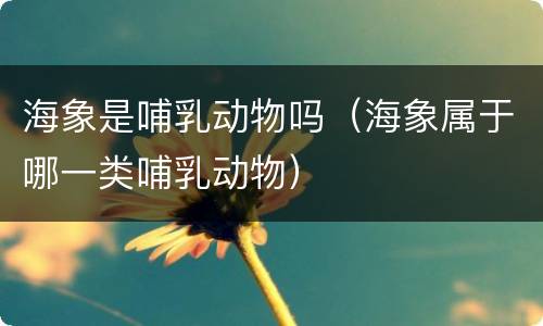 海象是哺乳动物吗（海象属于哪一类哺乳动物）