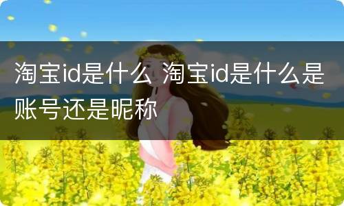 淘宝id是什么 淘宝id是什么是账号还是昵称