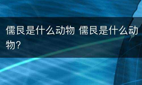 儒艮是什么动物 儒艮是什么动物?