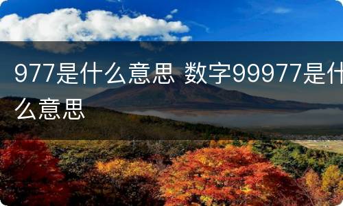 977是什么意思 数字99977是什么意思