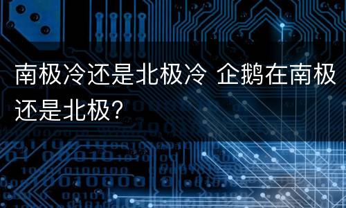 南极冷还是北极冷 企鹅在南极还是北极?