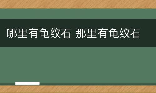 哪里有龟纹石 那里有龟纹石