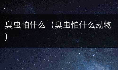 臭虫怕什么（臭虫怕什么动物）