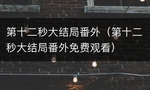 第十二秒大结局番外（第十二秒大结局番外免费观看）
