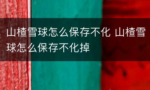 山楂雪球怎么保存不化 山楂雪球怎么保存不化掉