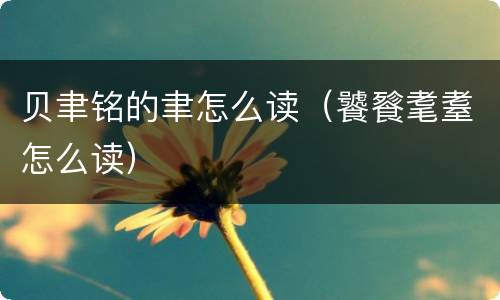 贝聿铭的聿怎么读（饕餮耄耋怎么读）