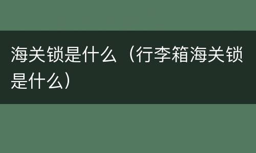 海关锁是什么（行李箱海关锁是什么）